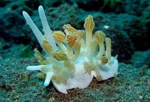 Images by Graham Abbott