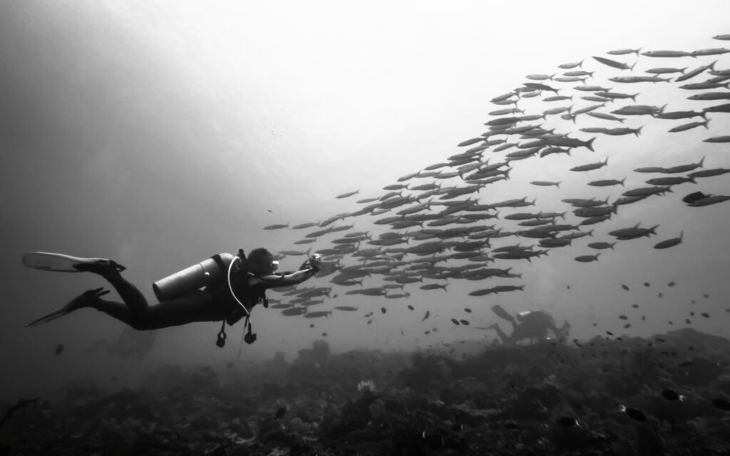 The Silent Migration