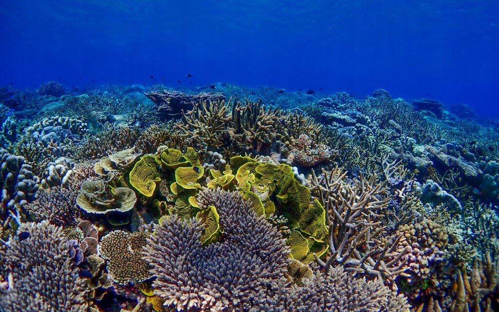 The Living Mosaic