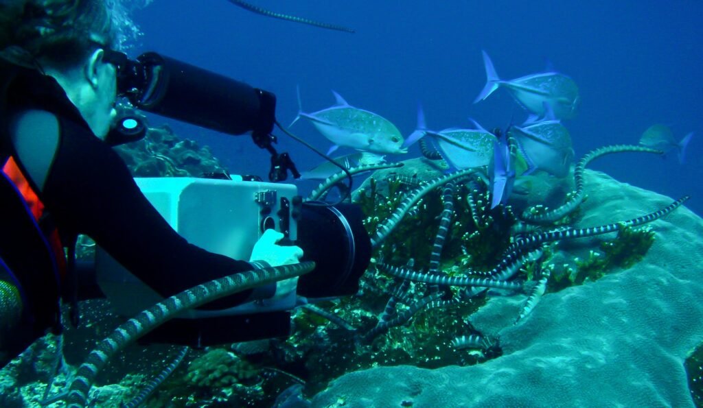 Marine Biodiversity